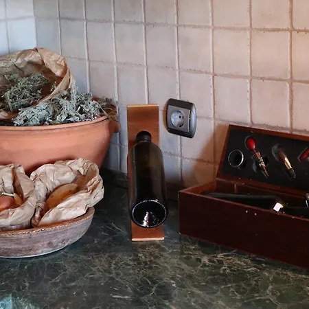 Echo Traditional House - ηχώ παραδοσιακό σπίτι Σπίτι διακοπών Έμπωνας
