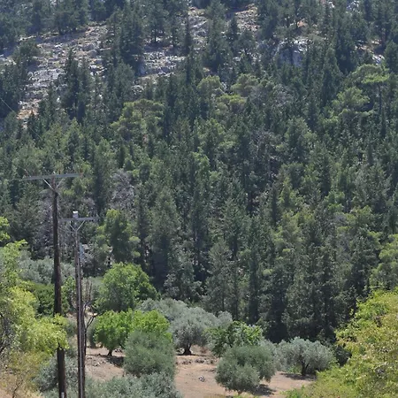 Echo Traditional House - ηχώ παραδοσιακό σπίτι 펜션